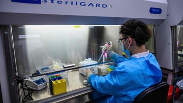 Científicos británicos avisan que la próxima variante del virus puede que ya exista