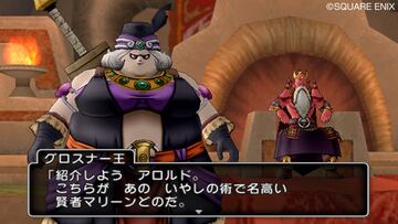 Captura de pantalla - Dragon Quest X (Wii)