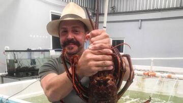 Chef Benito, ausente en MasterChef y las redes preguntan por él