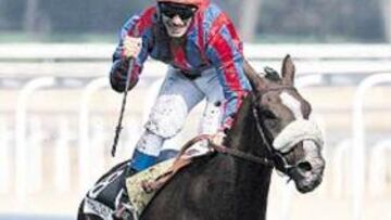 <b>EL CRACK. </b>El jockey francés Eyquem y Young Tiger victoriosos.