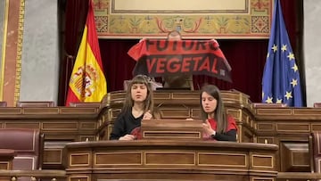 Dos activistas se pegan al atril del Congreso