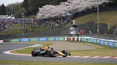 Suzuka (Japan), 06/04/2024.- Red Bull Racing driver Max Verstappen of Netherlands in action with view of cherry blossoms during the Qualifying for the Formula 1 Japanese Grand Prix at the Suzuka International Racing Course in Suzuka, Japan, 06 April 2024. The 2024 Formula 1 Japanese Grand Prix is held on 07 April. (Fórmula Uno, Japón, Países Bajos; Holanda) EFE/EPA/FRANCK ROBICHON
