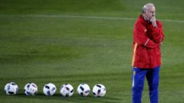 Vicente del Bosque durante un entrenamiento en la Ciudad del F&uacute;tbol de Las Rozas.