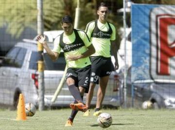 Intensidad y trabajo en el entrenamiento verdolaga