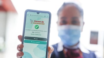 Carnet de vacunación: cómo funciona la app y qué ventajas tiene