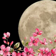 Luna Llena de mayo en Escorpio 2025: ¿cuándo es y a qué hora ver la Luna de Flores desde México?