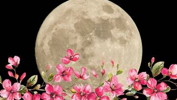 La luna llena de Flores tocará su punto máximo este 12 de mayo; será visible en todo México.