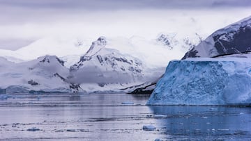 Ofrecen trabajo en la Antártica | Cuánto cobraría, requisitos y cómo inscribirse