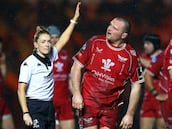 La estrella del Irlanda-Italia es el árbitro