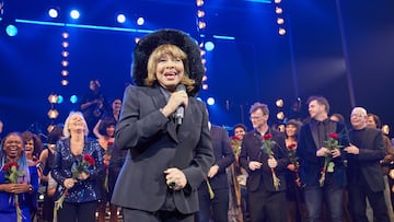 A stature in honor of music icon Tina Turner has been unveiled in her hometown in Tennessee - but has met with a savage response from internet users.