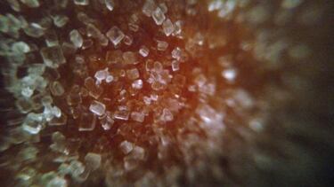 Polaroid Cosmo Z: Review