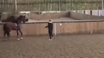 Sale a la luz el vídeo del maltrato que ha obligado a renunciar a los Juegos a Charlotte Dujardin