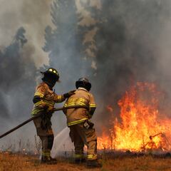 Proponen IFE para afectados por incendios y catástrofes: en qué consiste, cómo funciona y así es el proyecto