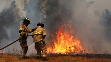Proponen IFE para afectados por incendios y catástrofes: en qué consiste, cómo funciona y así es el proyecto