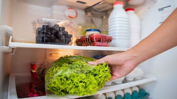 Lechuga y otras verduras adentro de una nevera