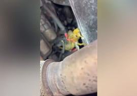 Lo llevó al taller porque no arrancaba y el mecánico encontró esto bajo el coche: la imagen se ha hecho viral y con razón