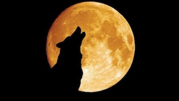 Luna llena de Lobo 2023: Origen, cuándo y dónde verla en México