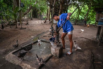 Uno de los usuarios del Centro Deportivo, Vicente, sacando agua de una bomba mientras cuida de sus gallinas tras terminar su entrenamiento de boxeo. 