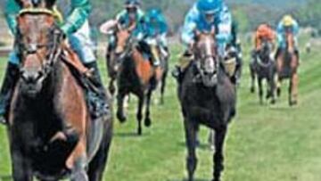 <b>GRAN CAMPEÓN. </b>Premier Galop ganó fácil en La Zarzuela.