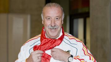 El 6 de julio de 2010, el d&iacute;a del chupinazo de los Sanfermines, Del Bosque pos&oacute; para As con el caracter&iacute;stico pa&ntilde;uelo rojo de las fiestas de Pamplona.