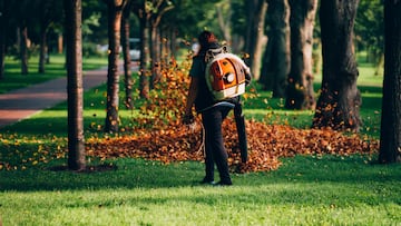 A woman operating a heavy duty leaf blower. Leaves being swirled up
