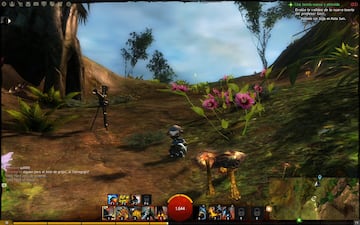 Captura de pantalla - Guild Wars 2 (PC)