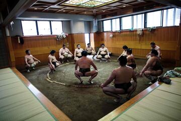 Luchadores de sumo entrenando en Tokio.