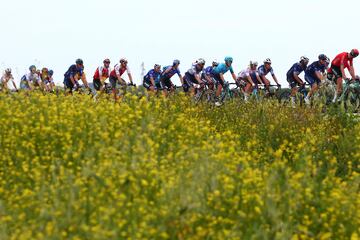 El pelotón durante la tercera etapa del Giro de Italia 2023 con 202 km de recorrido entre Vasto y Melfi. 
