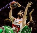 El Baskonia funde al Betis y le deja a un paso de la LEB