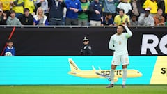 La samba de la tortuga