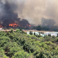 Un incendio arrasa un centro comercial y un chiringuito en Estepona