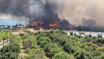 Fuego declarado en Estepona (M&aacute;laga)
 
 AYTO ESTEPONA
 29/08/2020 