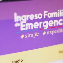 Ingreso Familiar de Emergencia: por qué el Gobierno no quiere que haya un nuevo pago