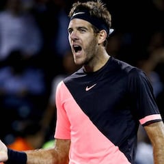 Del Potro gana a Raonic y se enfrentará a Isner en semifinales