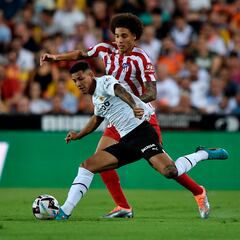 Witsel lo hace todo bien