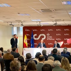 Nueva Ley del Deporte español desde el 1 de enero