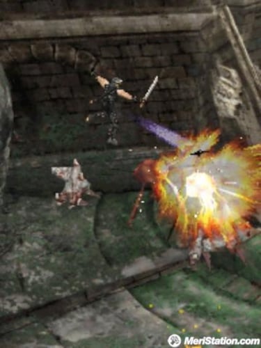 Ninja Gaiden Dragon Sword, Impresiones