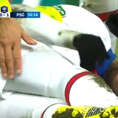 Fueron a por él una vez más y acabó llorando desconsolado: la lesión de Neymar tras un entradón