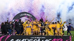“Tigres Femenil es el más grande de México”, Mauricio Culebro