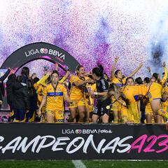 “Tigres Femenil es el más grande de México”, Mauricio Culebro