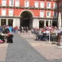 Piden a Fiscalía y UEFA medidas contra los hinchas del PSV que humillaron a mendigos en Madrid