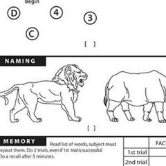 Can I access the cognitive test that Donald Trump did?