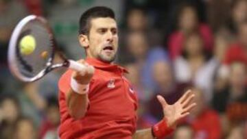 El serbio Novak Djokovic golpea una derecha frente a Olivier Rochus durante la eliminatoria que B&eacute;lgica y Serbia han disputado en Charleroi (B&eacute;lgica).
