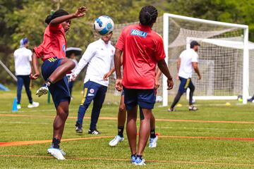 La Selección Colombia Femenina dejó atrás la celebración por clasificar al Mundial y los Juegos Olímpicos y se enfoca en la final de la Copa América ante Brasil este sábado en el Alfonso López de Bucaramanga.