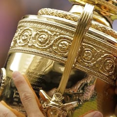 Federer gana en Wimbledon su 19º Grand Slam