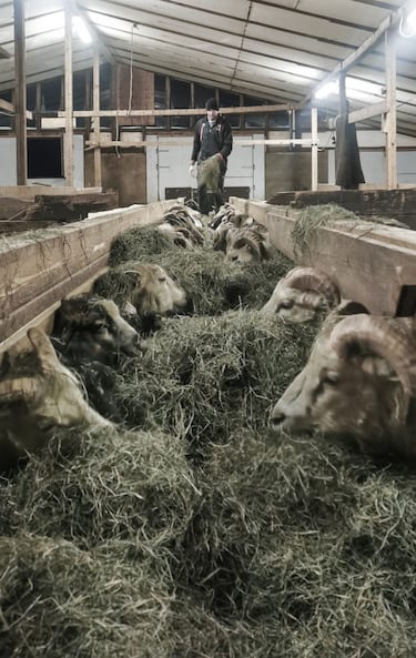 Un granjero en la ACB