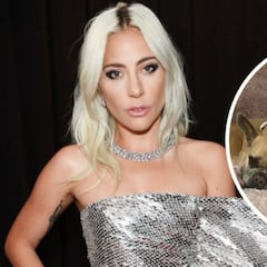 Sospechosos de robar los perros de Lady Gaga son arrestados