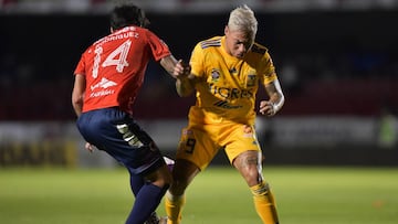during the gameVeracruz vs Tigres UANL, corresponding to day 14 of the Torneo Apertura 2019 of the Liga BBVA MX, at Luis Pirata Fuente Stadium, on October 18, 2019. <br><br> durante el partido Veracruz vs Tigres UANL, correspondiente a la jornada 14 del Torneo Apertura 2019 de la Liga BBVA MX, en el Estadio Luis Pirata Fuente, el 18 de Octubre de 2019. Mexsport/Photosport