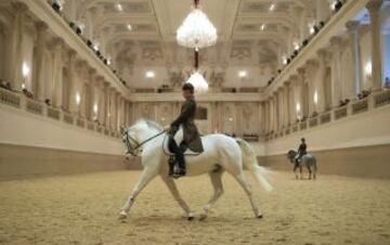 Sesión de entrenamiento en la Escuela Española de Equitación (Spanische Hofreitschule) en Viena.