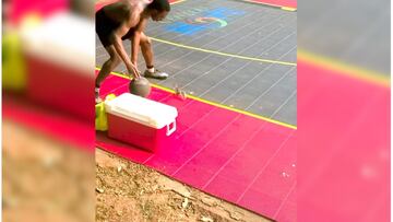 El video de la ardilla que se acercó a jugar baloncesto con humanos